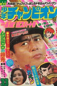 No. 33, 1973
