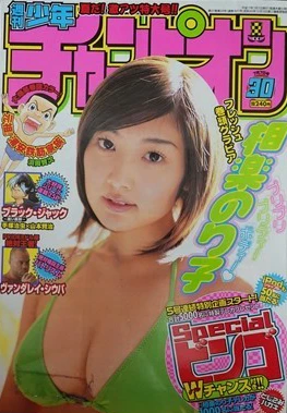 Cover of No. 30, 2005