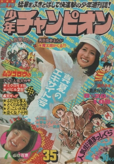 Cover of No. 35, 1973