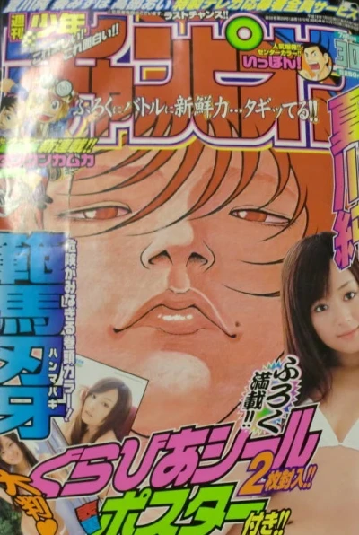 Cover of No. 30, 2006