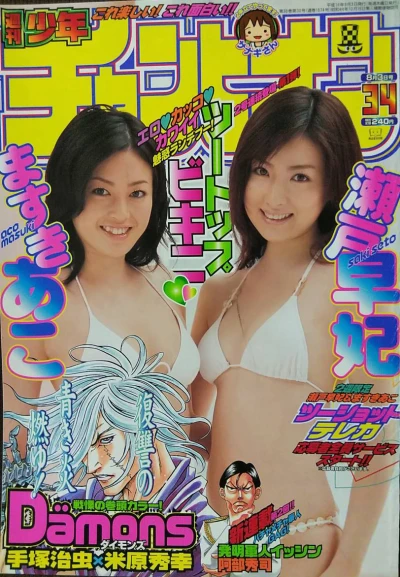 Cover of No. 34, 2006