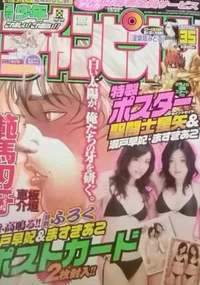 Cover of No. 35, 2006