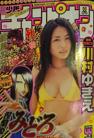 Cover of No. 44, 2006