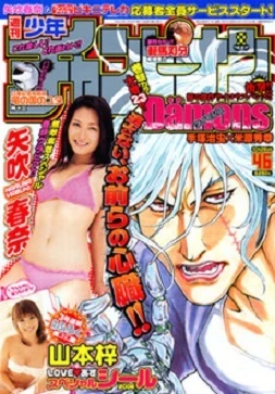 Cover of No. 46, 2006