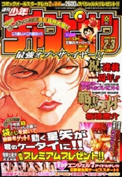 Cover of No. 2-3, 2007