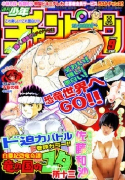 Cover of No. 9, 2007