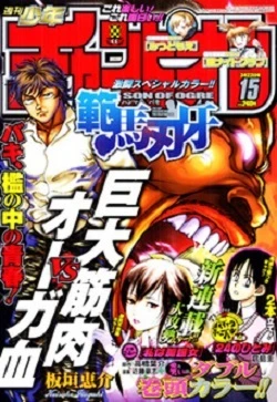 Cover of No. 15, 2007