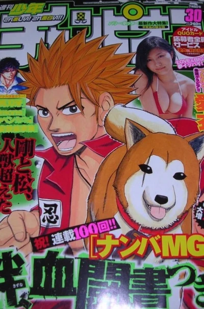 Cover of No. 30, 2007