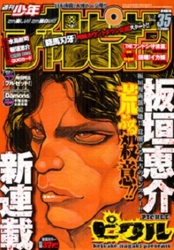 Cover of No. 35, 2007