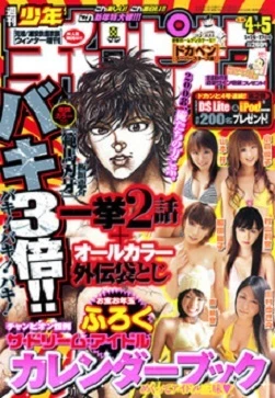 Cover of No. 4-5, 2008