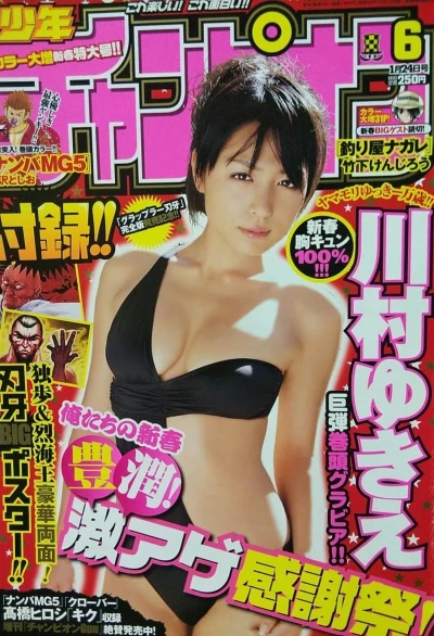 Cover of No. 6, 2008