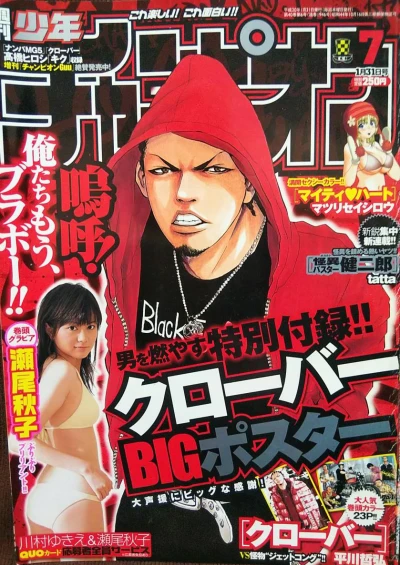 Cover of No. 7, 2008