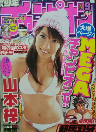 Cover of No. 9, 2008