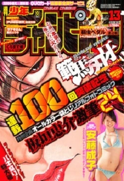 Cover of No. 13, 2008