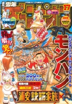 Cover of No. 17, 2008