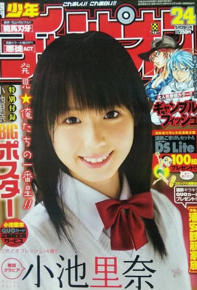 Cover of No. 24, 2008