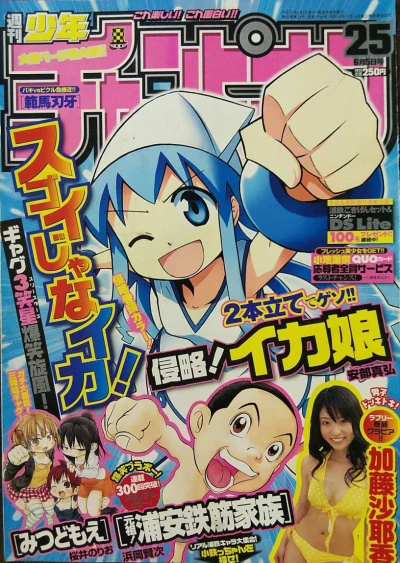 Cover of No. 25, 2008