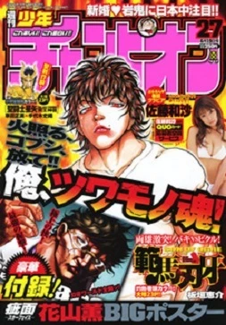 Cover of No. 27, 2008
