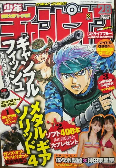 Cover of No. 28, 2008