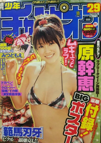 Cover of No. 29, 2008