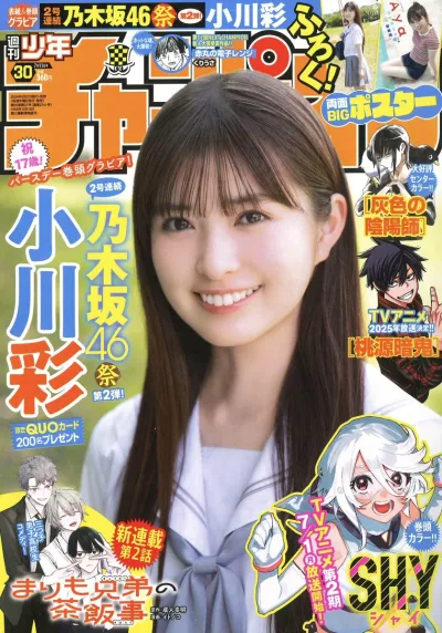 Cover of No. 30, 2024