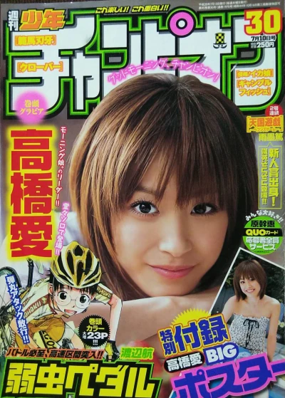 Cover of No. 30, 2008