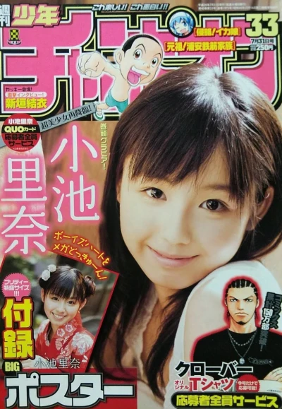 Cover of No. 33, 2008
