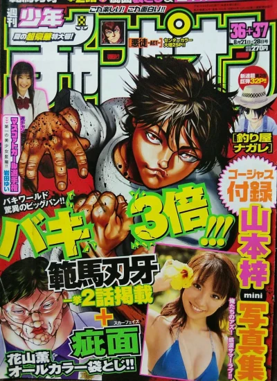 Cover of No. 36-37, 2008