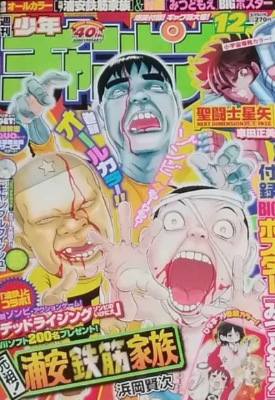 Cover of No. 12, 2009