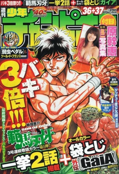 Cover of No. 36-37, 2009