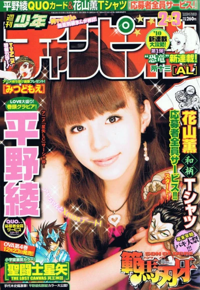 Cover of No. 2-3, 2010