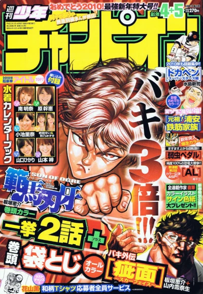 Cover of No. 4-5, 2010