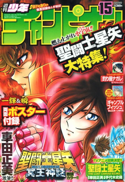 Cover of No. 15, 2010