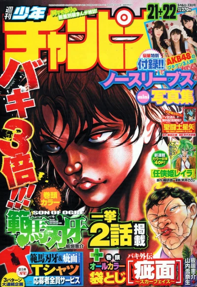 Cover of No. 21-22, 2010