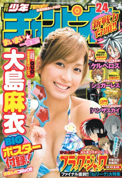 Cover of No. 24, 2010