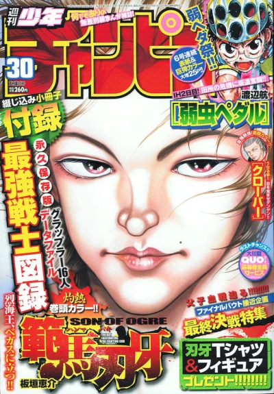 Cover of No. 30, 2010