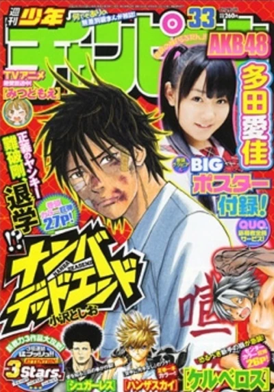 Cover of No. 33, 2010