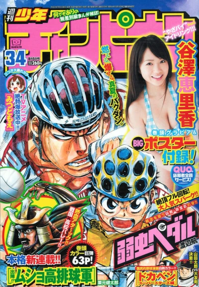 Cover of No. 34, 2010