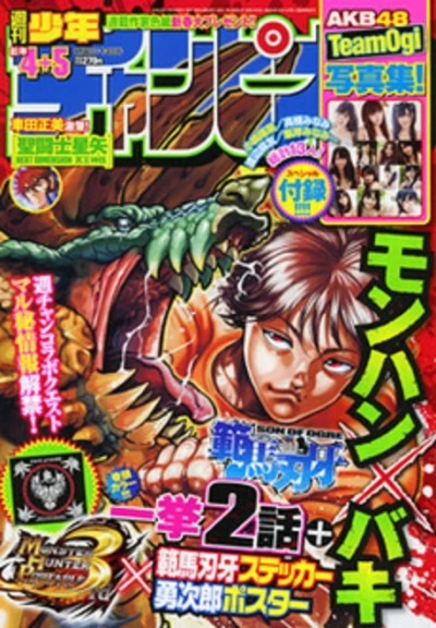 Cover of No. 4-5, 2011