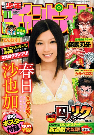 Cover of No. 11, 2011