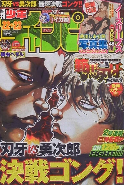 Cover of No. 22-23, 2011