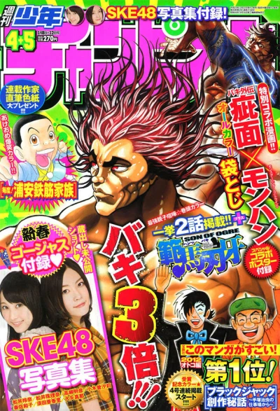 Cover of No. 4-5, 2012
