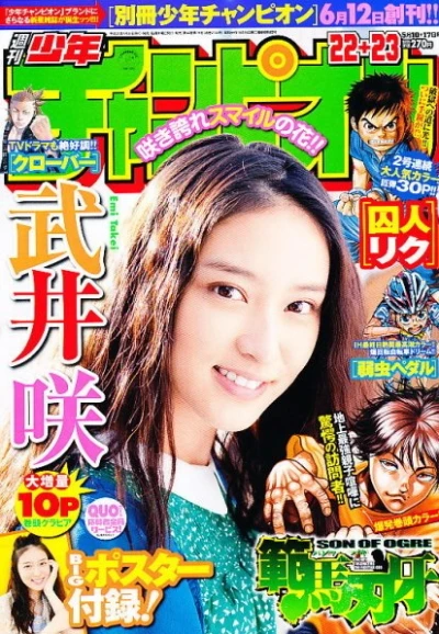 Cover of No. 22-23, 2012