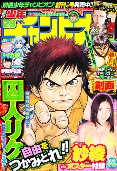 Cover of No. 29, 2012