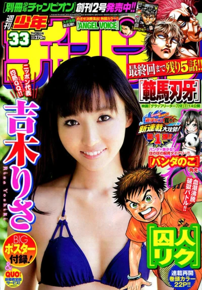 Cover of No. 33, 2012