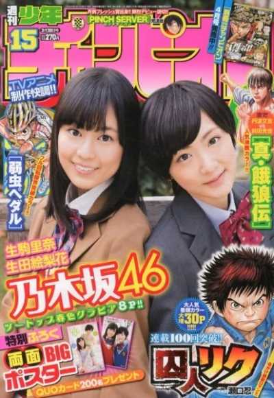 Cover of No. 15, 2013