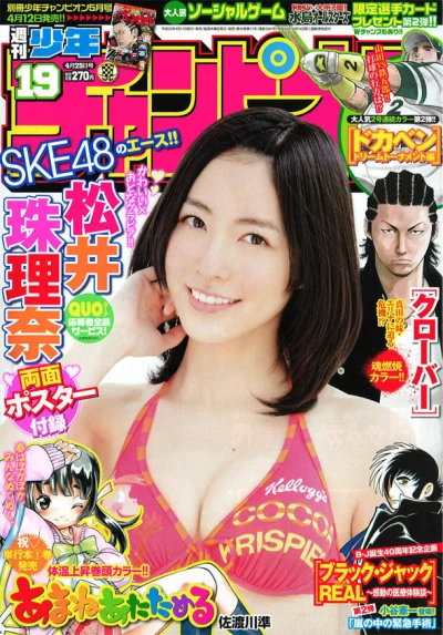 Cover of No. 19, 2013