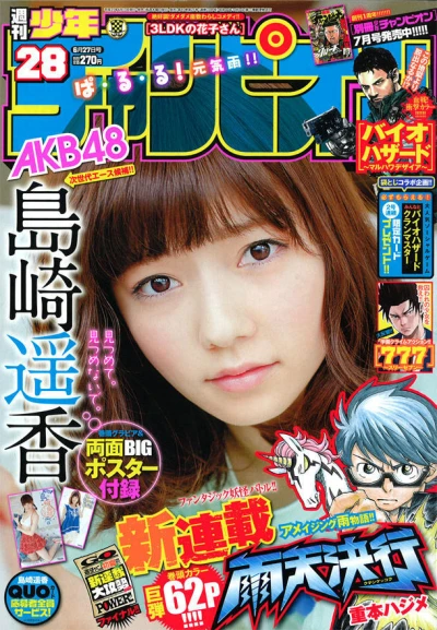 Cover of No. 28, 2013