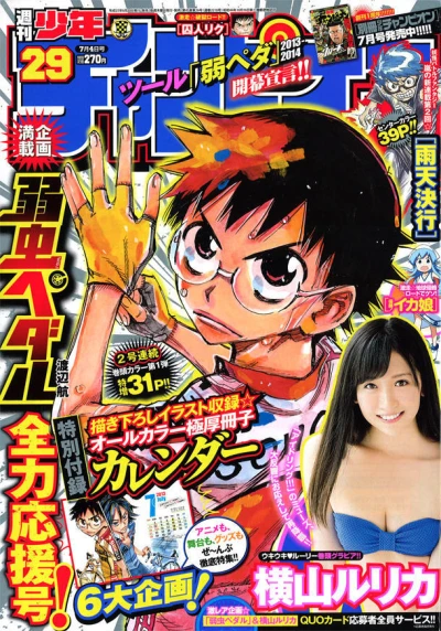 Cover of No. 29, 2013