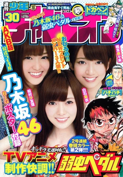 Cover of No. 30, 2013